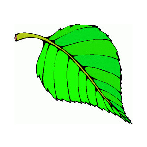 Leaf clip art free free clipart images 2