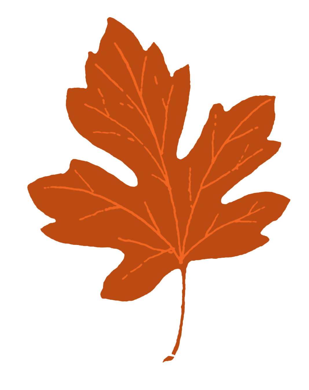 Leaf clipart clipart cliparts for you 2