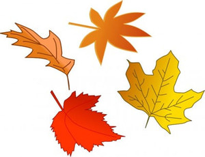 Leaf free fall leaves clip art collections