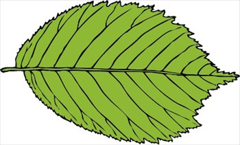 Leaf free leaves clipart free clipart graphics images and photos