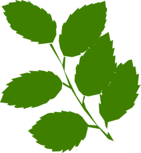 Leaf green leaves clip art vector clip art free