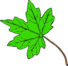 Leaf maple leaves clip art free clipart images