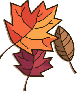 Leaf november leaves clipart