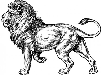 Lion clip art free vector in open office drawing svg svg 4