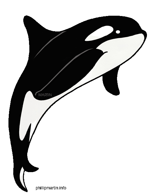 Orca whale clipart free clipart images