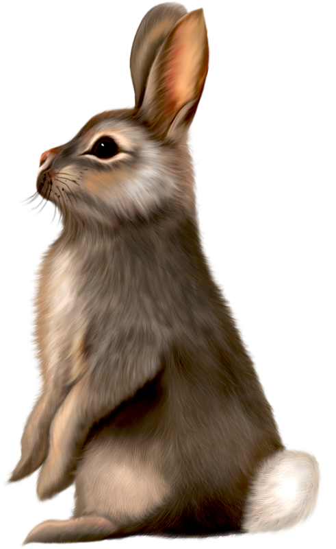 Painted brown bunny clipart 0