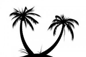 Palm tree clip art 6 clipartbold