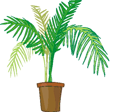 Palm tree clip art