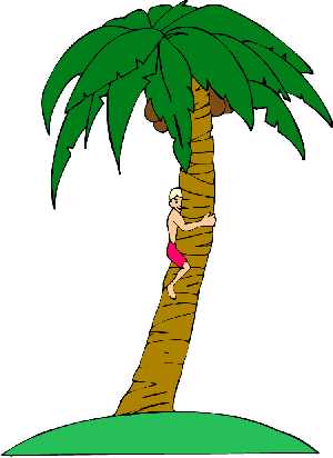 Palm tree clipart catch the breeze
