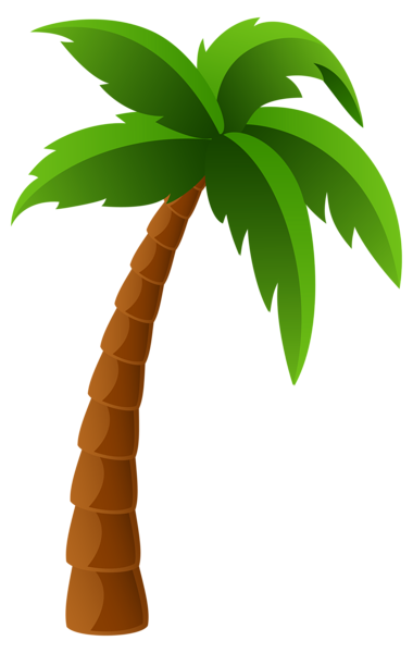 Palm tree gallery trees clipart 2