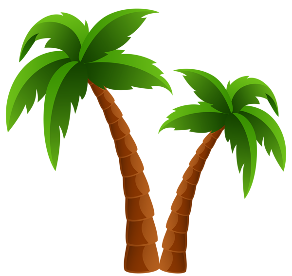 Palm tree gallery trees clipart