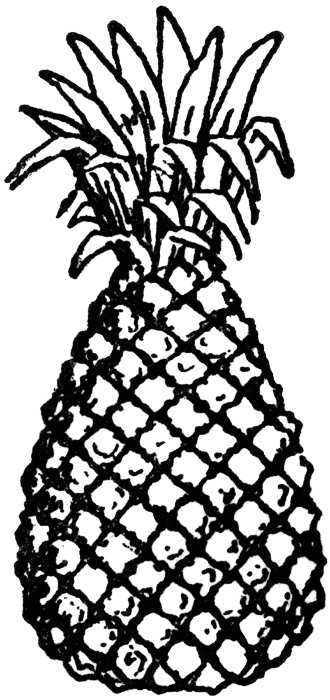 Pineapple clip art 3