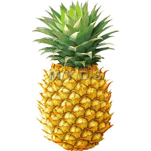 Pineapple clip art clipartwiz