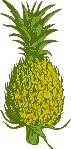 Pineapple clip art free vector 4vector