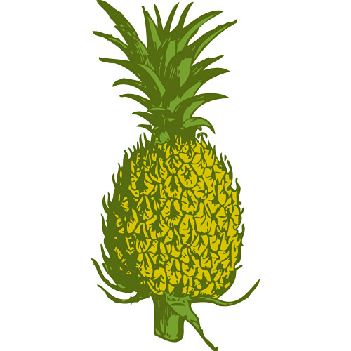Pineapple clipart 3 clipartion com 2
