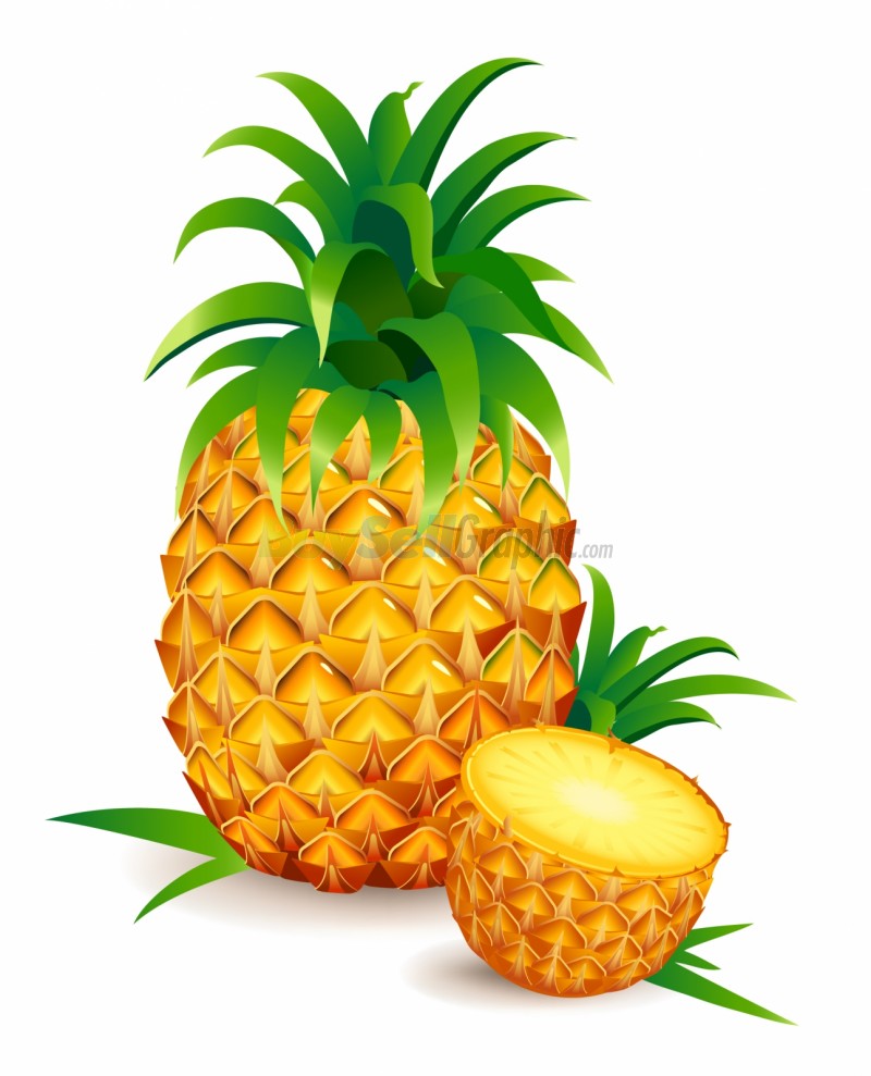 Pineapple clipart 3 clipartion com