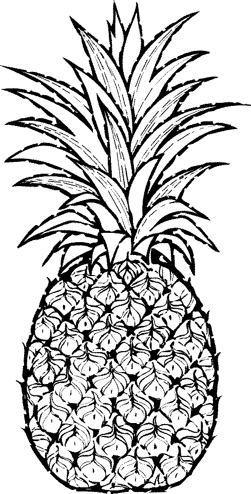 Pineapple clipart black and white free clipart 2 clipartcow