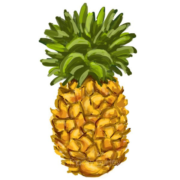 Pineapple fruits clip art 2 clipartwiz 2