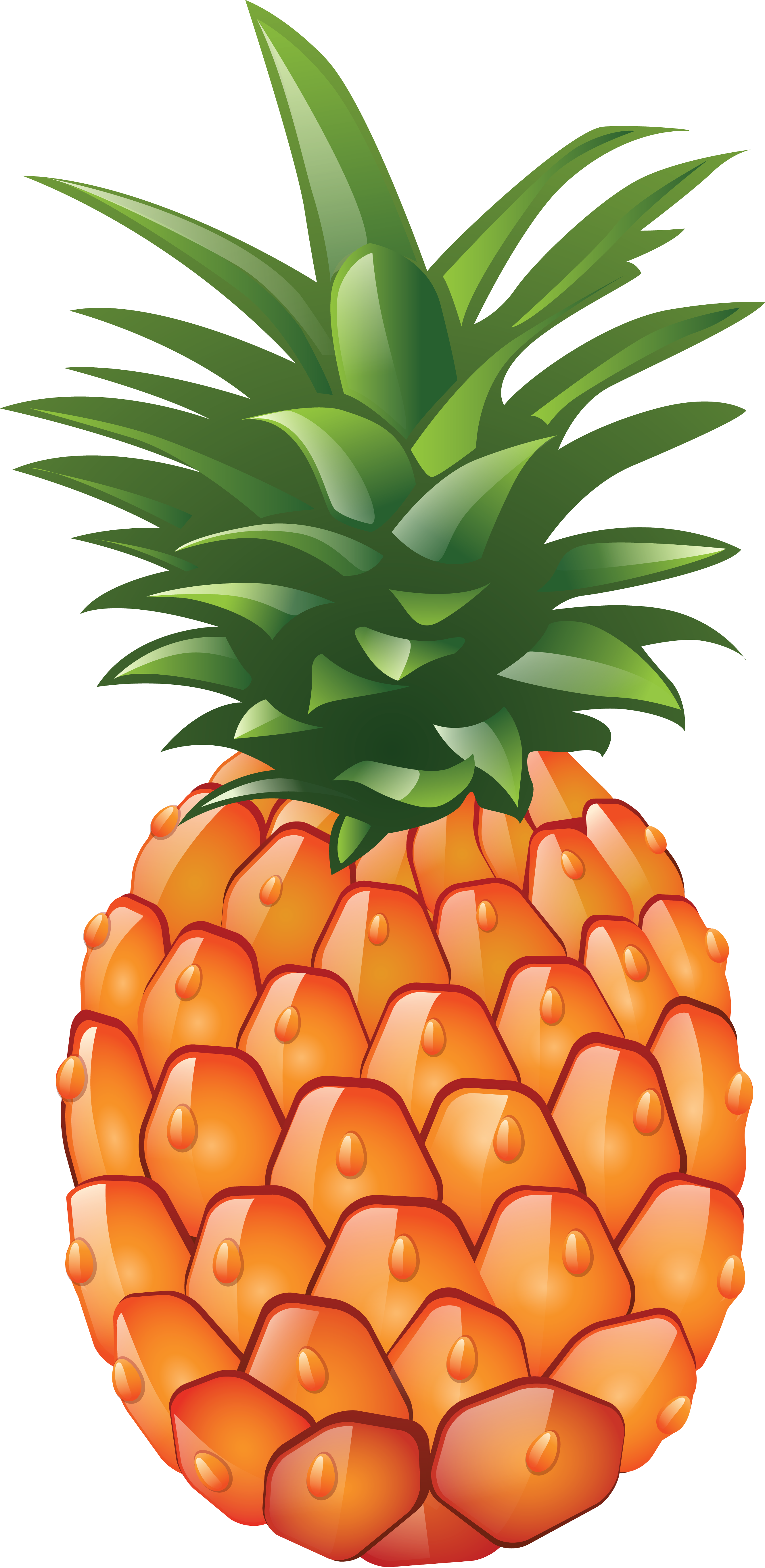 Pineapple images free pictures download clipart 2