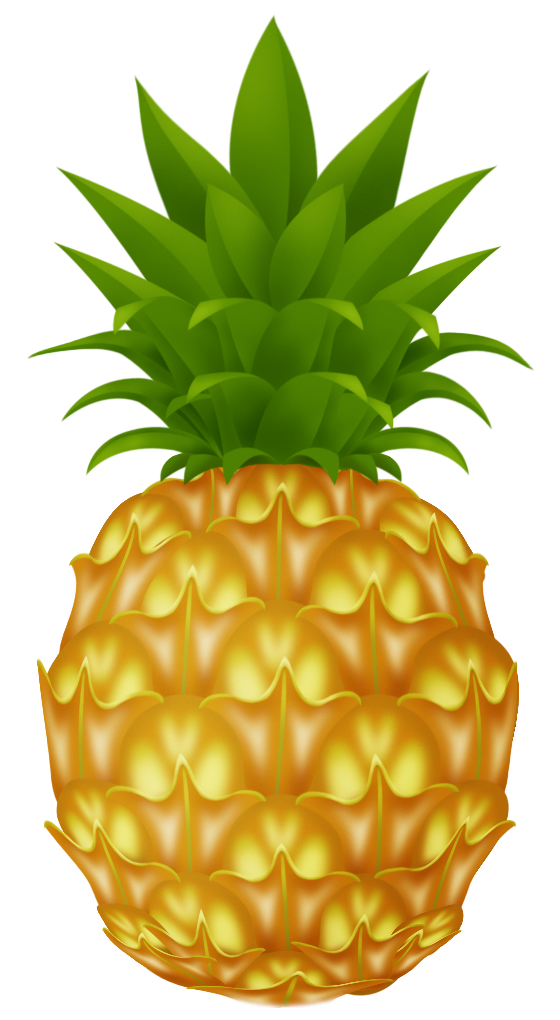 Pineapple images free pictures download clipart