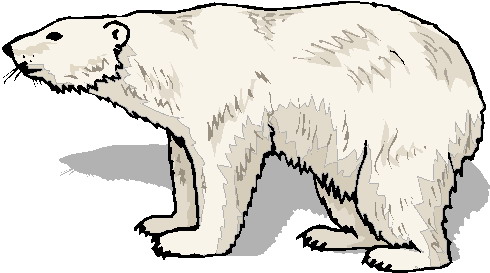 Polar bear clipart clipartion com