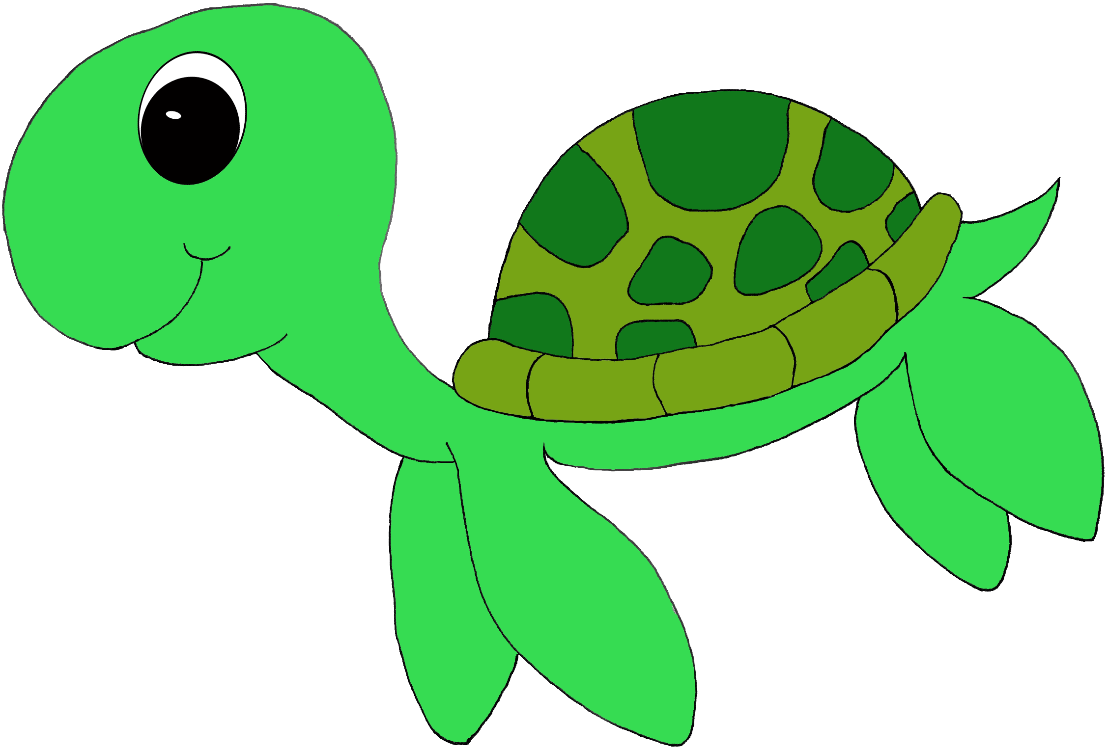 Sea turtle clipart