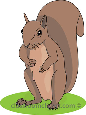 Search results search results for squirrel clipart pictures 2
