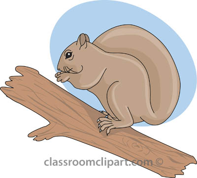 Search results search results for squirrel clipart pictures