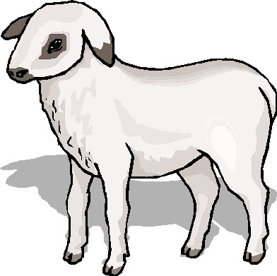 Sheep clip art 3
