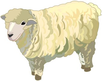 Sheep clip art 8