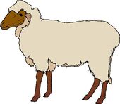 Free Sheep Clipart Pictures - Clipartix