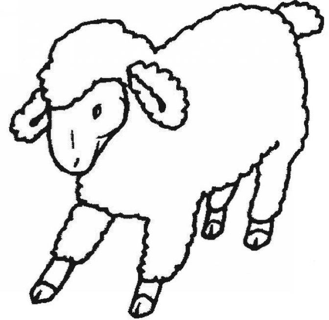 Sheep clipart 9