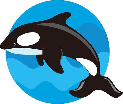 art clip Sperm whale