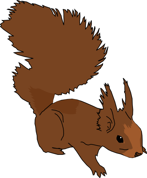 Squirrel clip art clipart cliparts for you