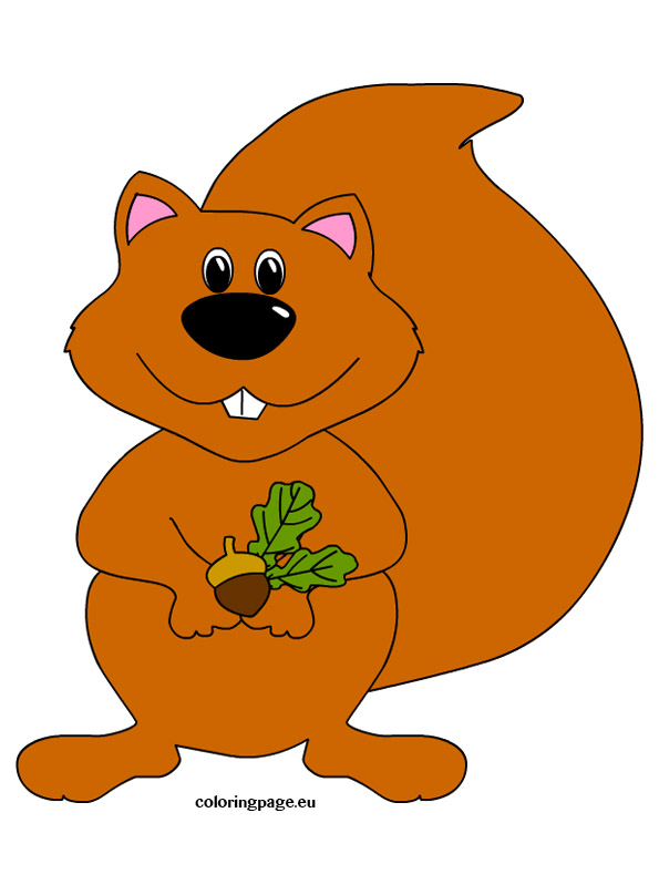 Squirrel clipart coloring page