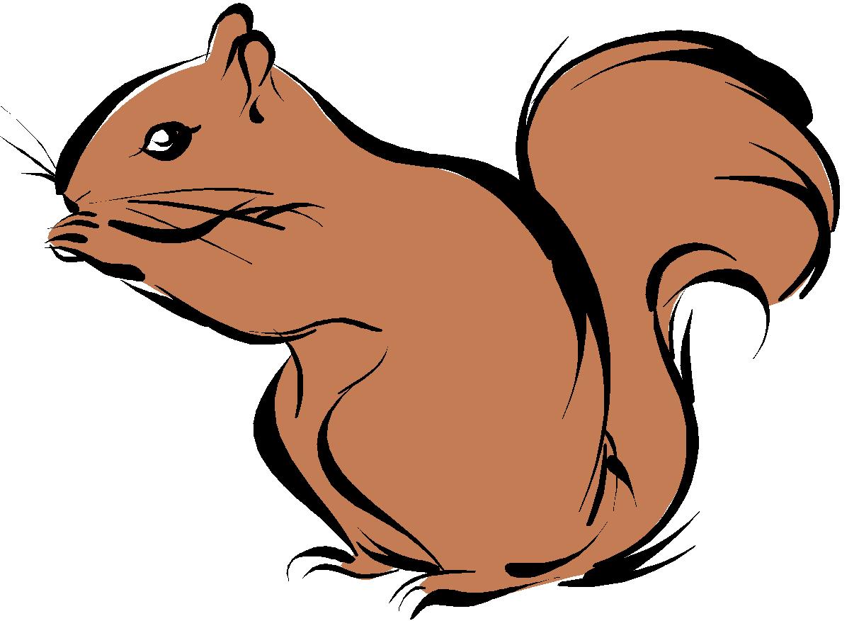 Squirrel clipart free clipart images