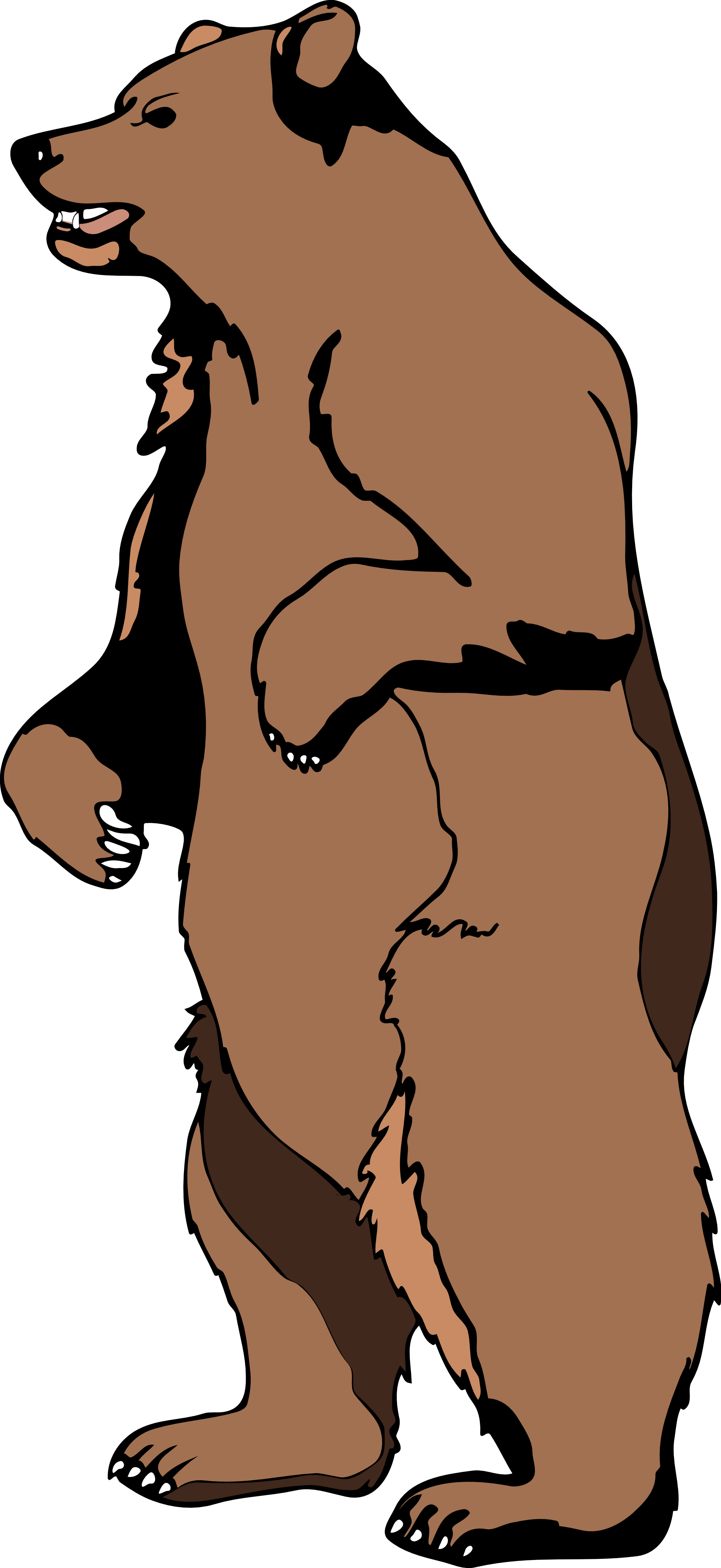 Standing bear clipart free clipart images - Clipartix