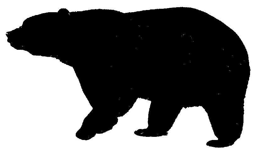 Standing black bear drawing free clipart images