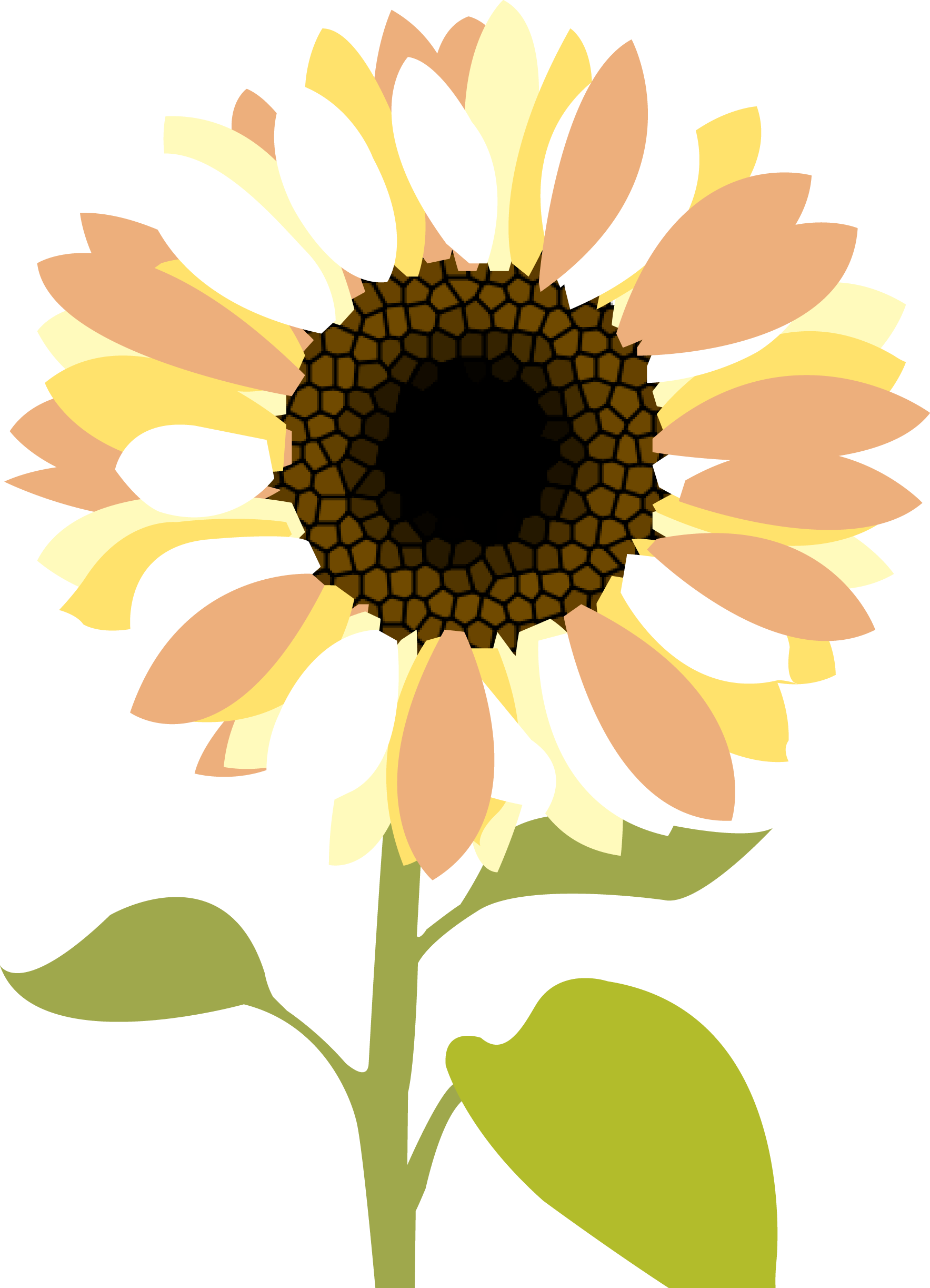 Sunflower christian clip art clipartbold