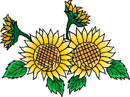 Sunflower clip art 2