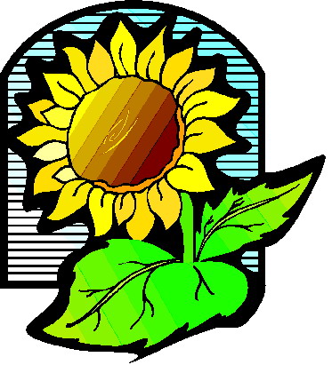 Sunflower clip art 6