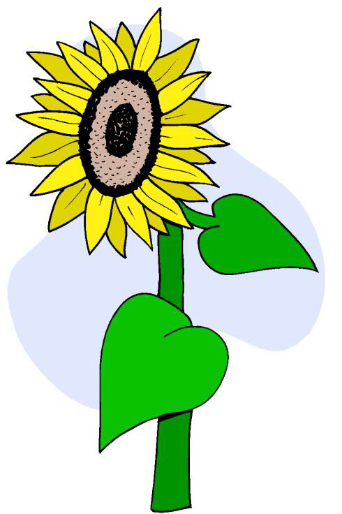 Sunflower clip art 7