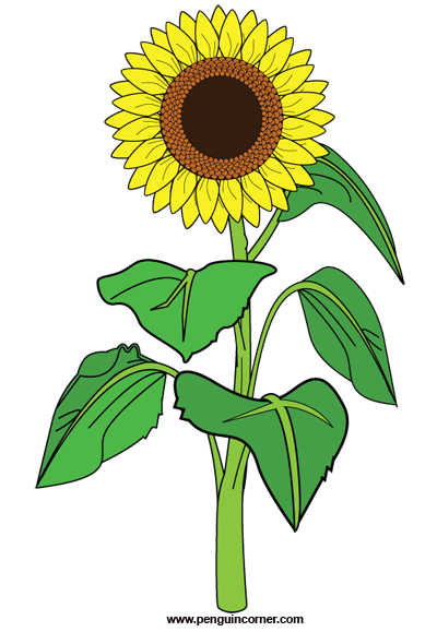 Sunflower clip art free clipart images 2 clipartbold