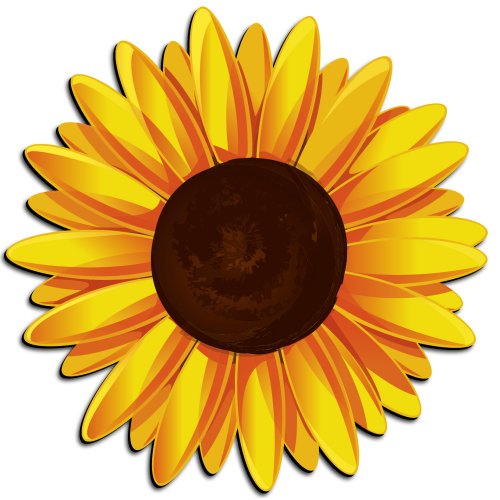 Sunflower clipart 1 clipartion com