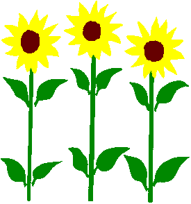 Sunflower clipart 2