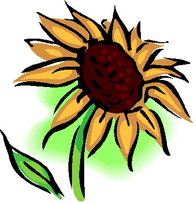 Sunflower clipart 7 clipartion com