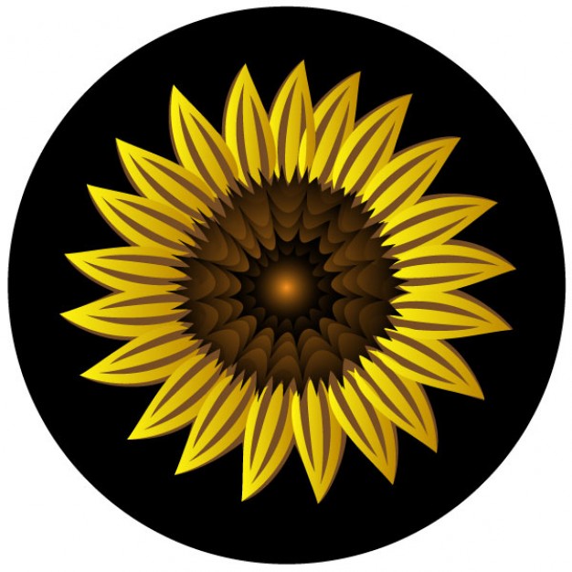 Sunflower vectors photos and psd files free download clip art
