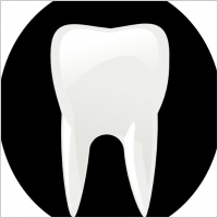 Tooth clip art clipart cliparts for you
