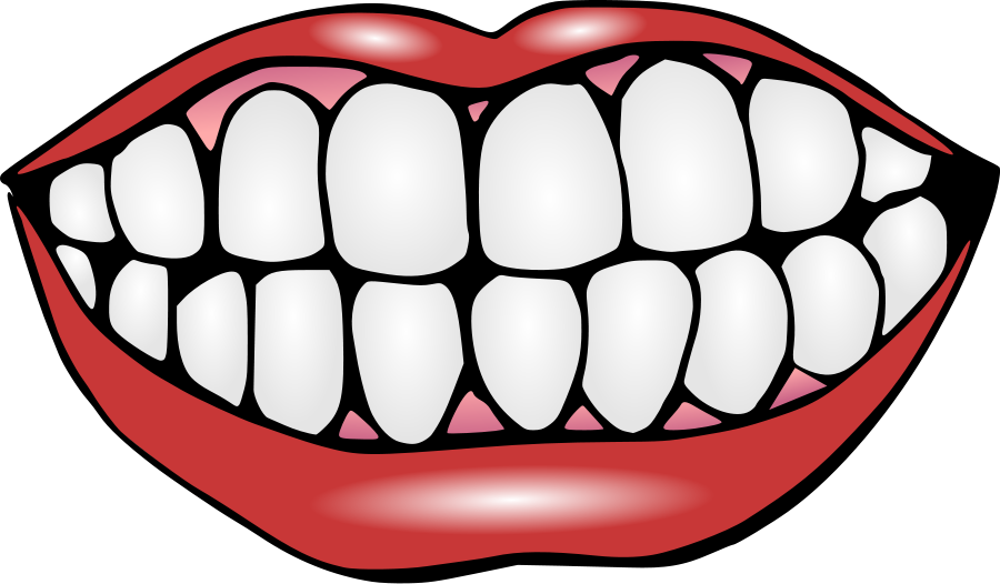 Tooth mouth with teeth clipart free clipart images