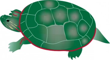 Turtle clip art free free vector for free download about free